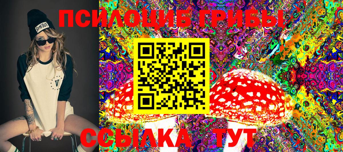 Псилоцибиновые грибы Cubensis  Вход с VPN  Владивосток 